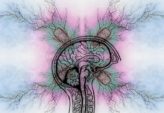 Psykolog stress: Hvordan en psykolog kan hjælpe med at finde balance