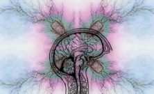 Psykolog stress: Hvordan en psykolog kan hjælpe med at finde balance