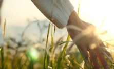 Bedemand fyn  sådan får du ro til det sidste farvel