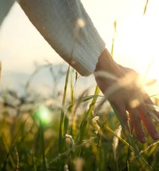 Bedemand fyn  sådan får du ro til det sidste farvel